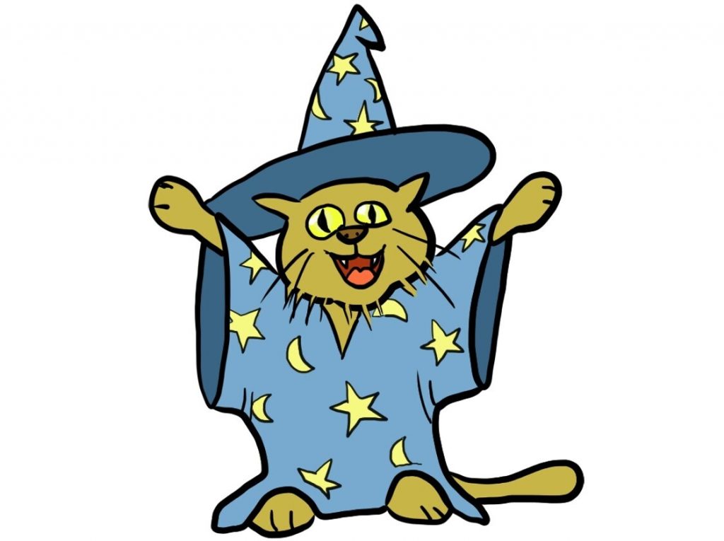 Cat dressed as a Woodlin Wizard